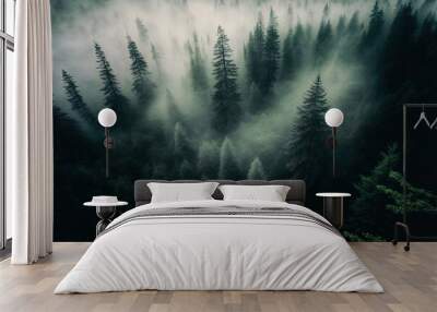 Forest landscape view from above, foggy forest. AI Wall mural