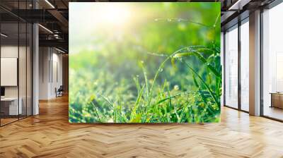 Spring green background. Green grass with dew drops, closeup. Sunny spring light reflected on drops of water. Wall mural