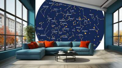 constellation sky night Wall mural