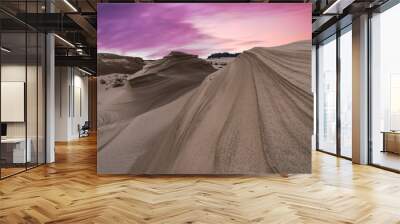 Oregon Dunes National Recreation Area, Oregon, USA Wall mural