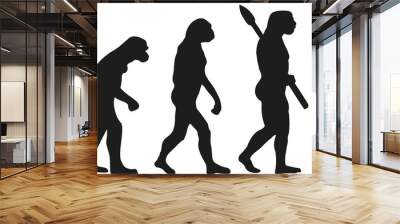 Evolution soldier Wall mural