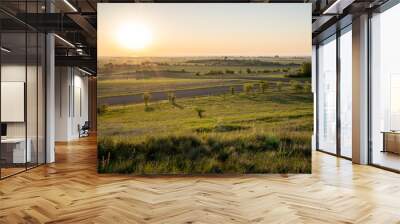 A golden morning sunrise at a field with trees and grassland near Neusiedler See in Burgenland, Austria Wall mural