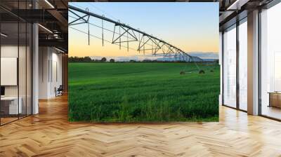 A long metal watering system stretching across lush green pasture. Photographed at sunset in the Waikato region, New Zealand Wall mural