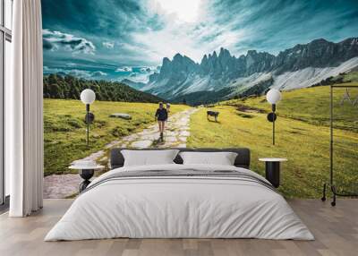 Athletic woman walks along beautiful hike trail at Seceda with brown white patterned dolomites cows in the morning. Seceda, Saint Ulrich, Dolomites, Belluno, Italy, Europe. Wall mural