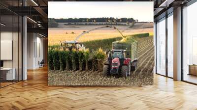 tractor in field at corn harvest Wall mural