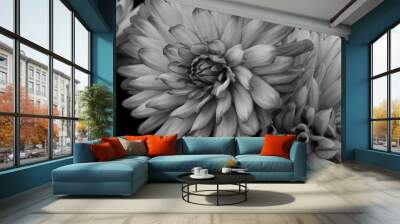 Beautiful soft black and white flower study  Wall mural