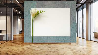 blank invitation or greeting card, card made of painting paper with a delicate beautiful texture, hand-painted background mix of watercolor and tempera paints, natural white freesia decoration Wall mural