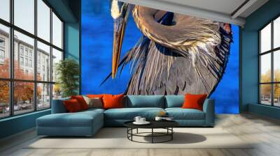 Blue Heron at Circle B reserve Wall mural