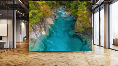 Blue Pools Track, Mount Aspiring National Park, Otago New Zealand Wall mural