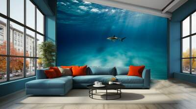 Blue Water Shark Wall mural