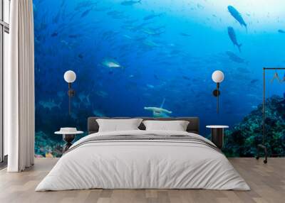 Hammerhead Shark Wall mural