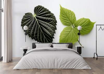 two leaves are arranged in a design on a white background Wall mural