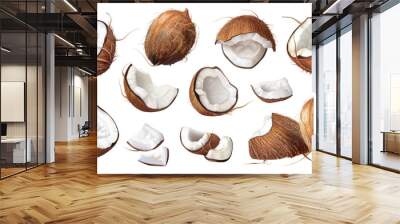 Coconut set on transparent background Wall mural