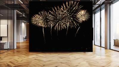 Real Fireworks footage 4k video on Deep Black Background Sky on Futuristic Fireworks festival show before independence day on 4 of July Wall mural