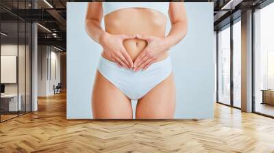 Hands, body and stomach of woman in studio for liposuction, tummy tuck or plastic surgery. Weightloss results, underwear and slim female person with diet, gut health or fitness by white background. Wall mural