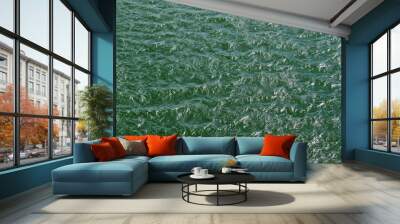 Detailed close up view on water surfaces with reflecting sunlight on the waves and ripples Wall mural