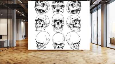 different views of the skull Wall mural