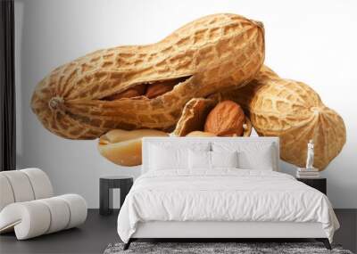 Dried peanuts in peel on transparent background Wall mural