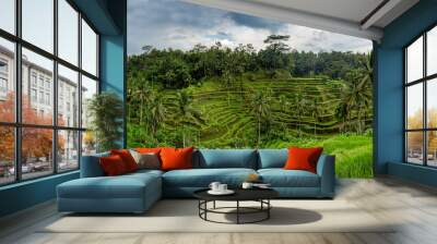 Panoramic view of Tegallalang Rice Terrace - Ubud - Bali - Indonesia Wall mural