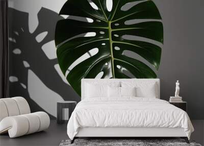 Exotic Monstera Leaves with Light and Shadow Overlay Effect Wall mural