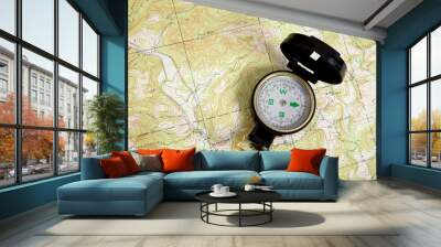 compass on a topographical map Wall mural