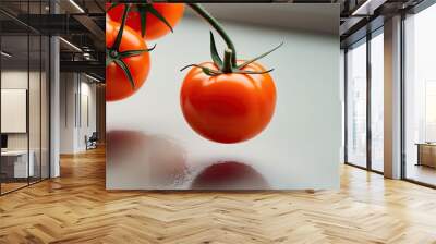 Fresh and Delicious Orange Tomatoes Suspended from the Stalk on a Clean Surface Wall mural