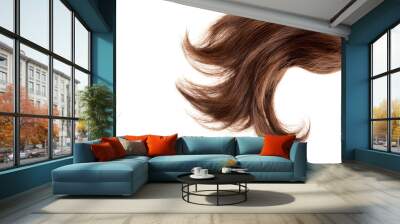 closeup piece of brown hair Wall mural