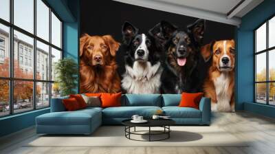 Group of happy dogs on black background Wall mural