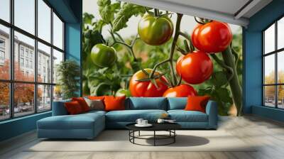 High Detail Unique Shaped Tomatoes on the Vine with Airy Background Fresh Gourmet Produce Wall mural