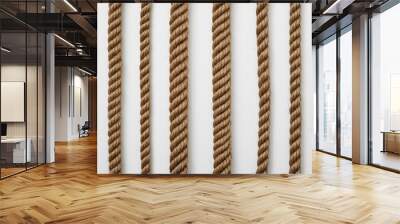 Isolated Rope and Cord Elements Collection on White Background Wall mural