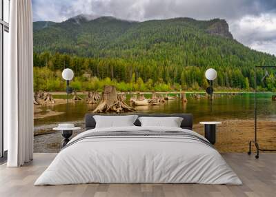 2023-12 31 RATTLESNAKE LAKE ON A MISTY MORNING WITH RATTLESNAKE RIDGE THE LAKE AND EXPOSED STUMPS AND MUDDY SHORELINE IN NORTHBEND WASHINGTON Wall mural