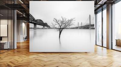 Grayscale shot of the tree in the river between two bridges. Long exposure. Wall mural