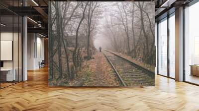 Railroad autumn in the fog with a silhouette in the distance Wall mural