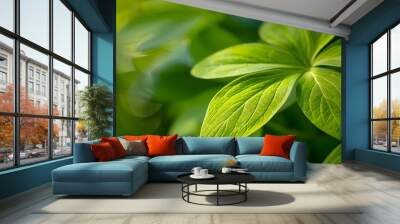 Macro of light green leaf - Nature background Wall mural