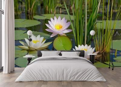 Marsh Plant Collection Featuring Water Lilies Lotuses and Reeds in Natural Floral Arrangement Wall mural