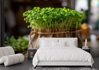 microgreens in a paper bag, the concept of buying or selling microgreens, healthy food, veganism Wall mural