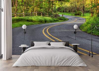 winding country road Wall mural