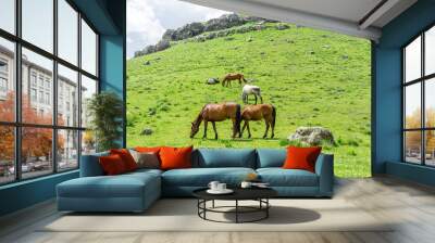 One white and three brown horses graze on green grass on a mountain slope. Hill, rocks and blue sky Wall mural