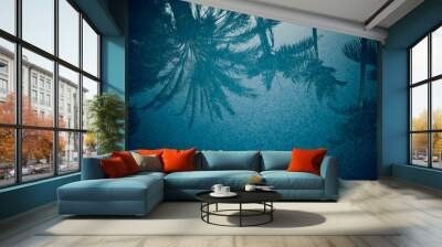 Palm trees reflections on swimming pool Wall mural