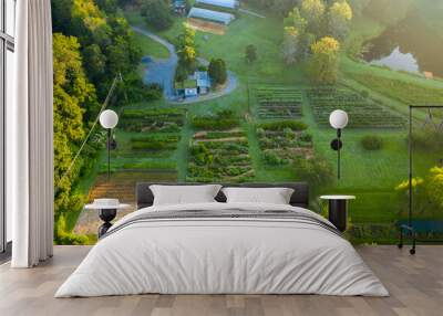 Aerial view of rural ranch with planted field near to a dense forest in bright sunlight Wall mural