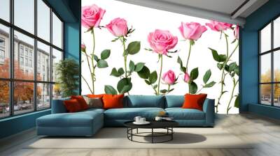 Pink roses on transparent background Wall mural