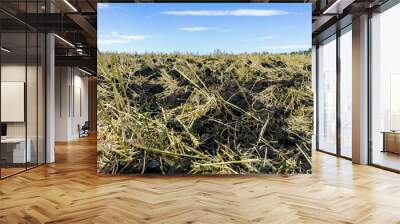 plowed agricultural field after harvest, sky and trees in the background Wall mural