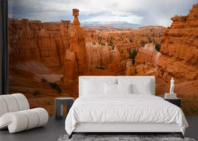 red rock hoodoos in Bryce Canyon National Park Wall mural