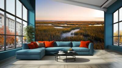 Saltmarsh on the Virginia coast in USA in the golden sun at sunset.  Known as a coastal salt marsh or tidal marsh it is located between land and brackish water that is regularly flooded by the tides. Wall mural