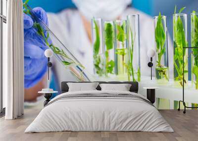 Scientist hold test tube with plant inside in laboratory. Wall mural