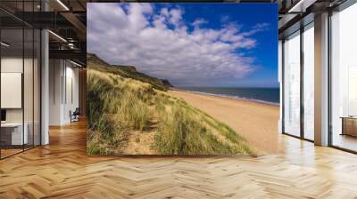 Walk five minutes from the old mining village of Skinningrove and you reach the fabulous Cattersty Sands and its quiet, clean beach backed by sand dunes. Wall mural