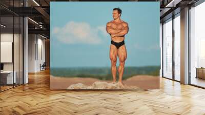 Bodybuilder posing in nature standing on top of a mountain. Grain effect used Wall mural