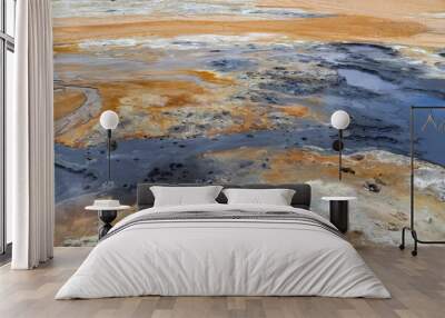 Steaming hot springs on the volcanic sulphur fields of Iceland Wall mural