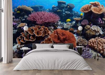 Stunning Coral Reefs on White Background Colorful Underwater Landscape Images Wall mural