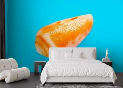 Flat Lay isolated image of a coastal seashell on a blue backgrou Wall mural